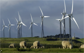 The New Zealand Government Has Established A $1.2 Billion Fund To Promote 100% Renewable Energy Generation